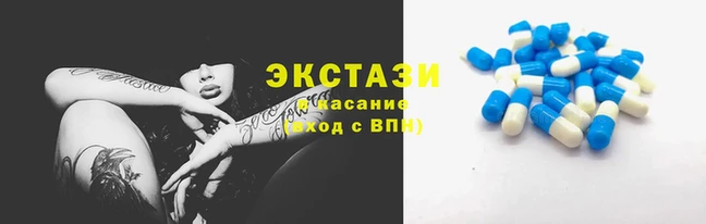 тгк Алзамай