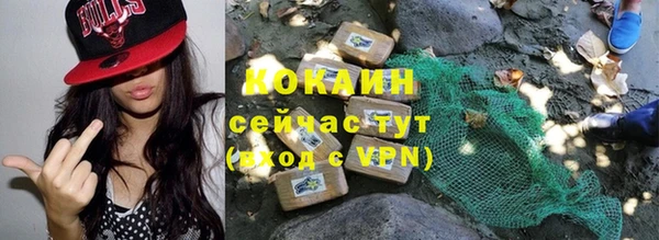 тгк Алзамай